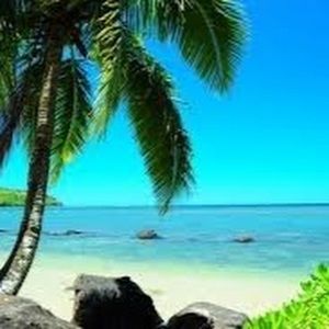 Meet your Posher, Sofia